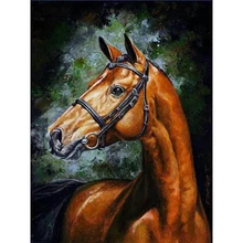 YIKEE декоративная картина маслом по номерам, рисунок по номерам лошадь