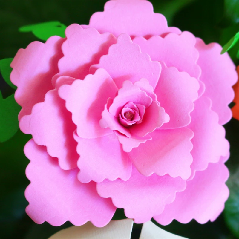 IMG_4702