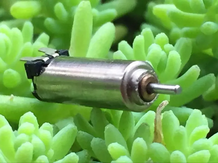 Free shipping 5 pcs 4mm*12mm DC1.5V-3V Miniature Pinout Hollow Cup Motor for Precision Instruments/Toys/Models DIY etc. | Обустройство
