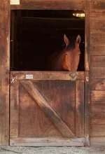 Laeacco Stabiele Paard Houten Deur Fotografische Achtergronden Aangepaste Fotografie Achtergronden Voor Fotostudio(China)