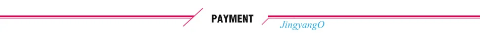 Payment