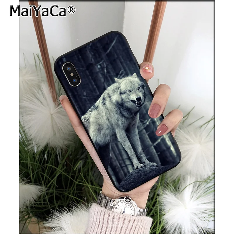 wild snow wolf mountain