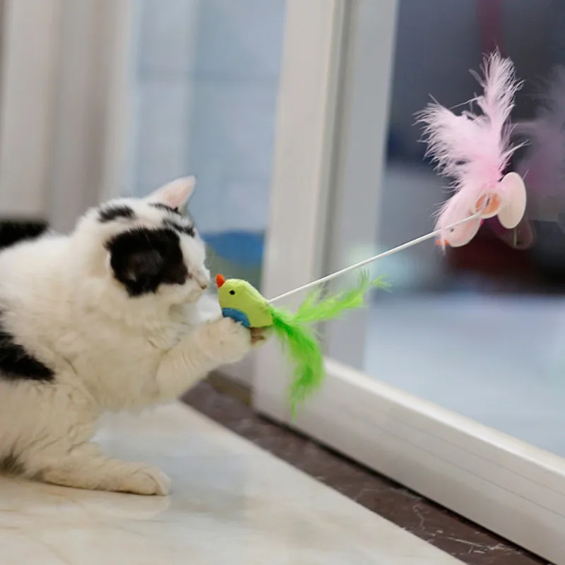 

Cat Bird Shape Interactive Playing Toy Cats Feather Teaser Wand Sucker Window Cat toy
