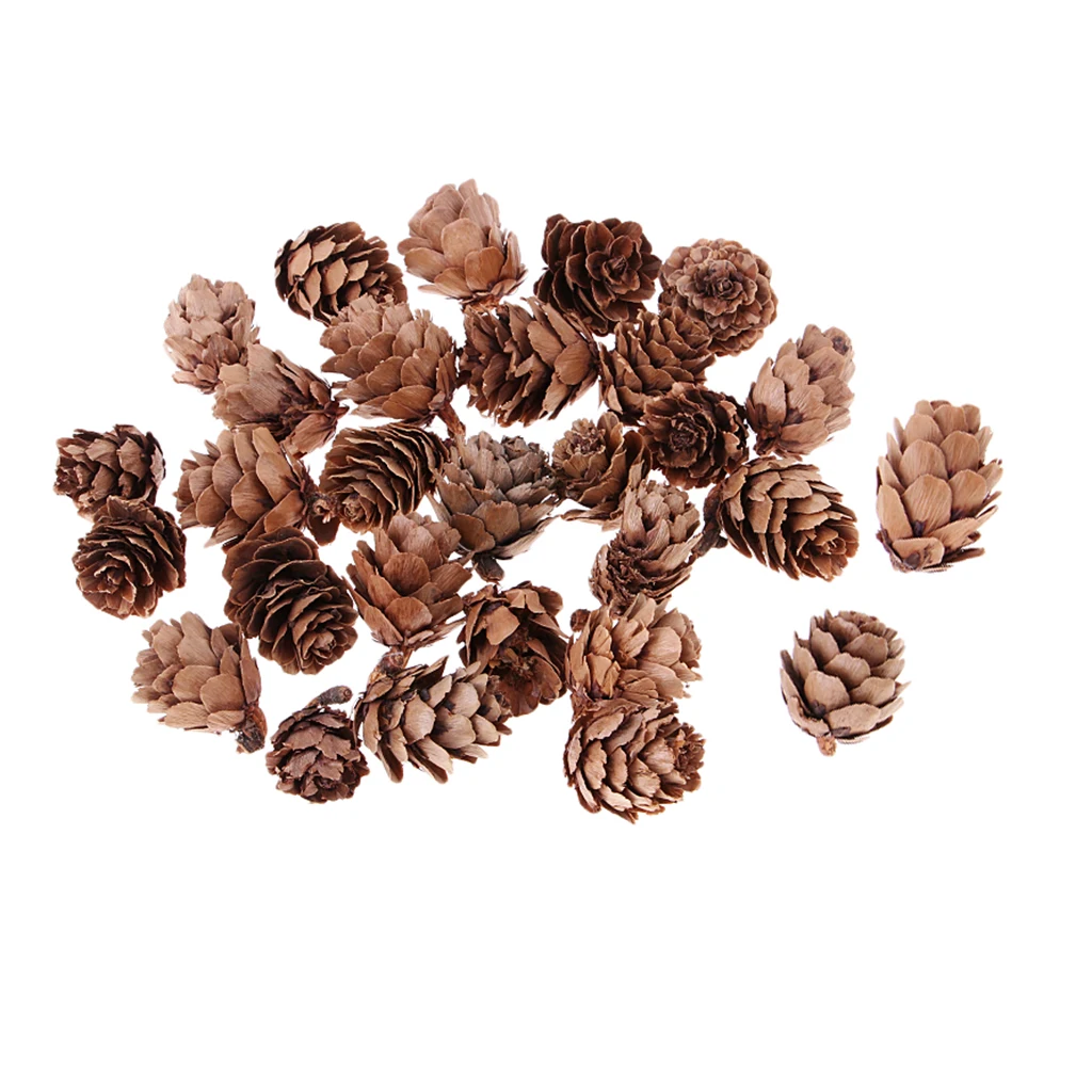 MagiDeal 30 Pezzi Reale Naturale di Pino Coni Decorativo Pigna Pallina di Natale Albero Puntali Albero di Natale Decorazione Della Casa Tabe Decor