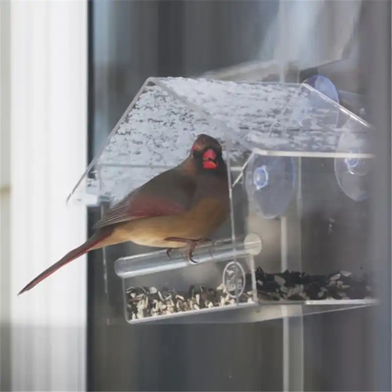 2 Style Creative Pet Bird Feeder Clear Window Squirrel Proof Bird