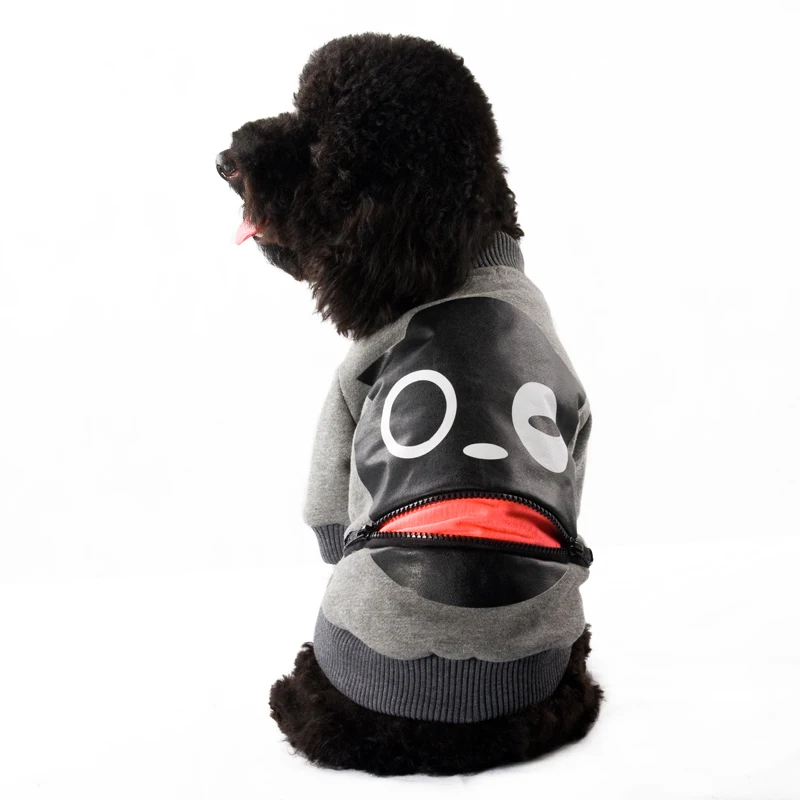 dog clothes