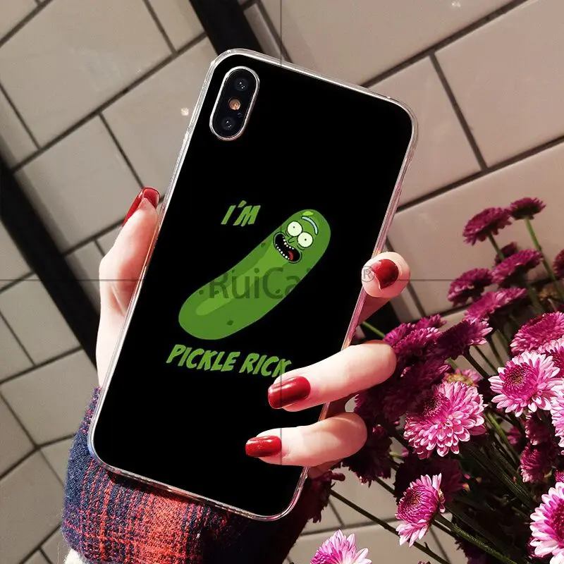 Rick and Morty pickle rick