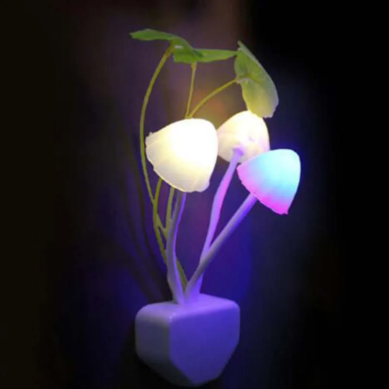 QQ20181205065728