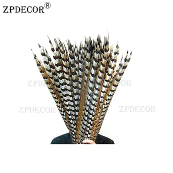 

Inch 28-32 70-80CM Reeves Venery Pheasant Tail Feathers