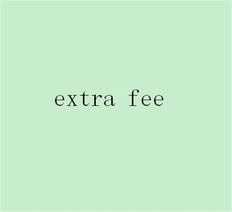 

Extra Fee