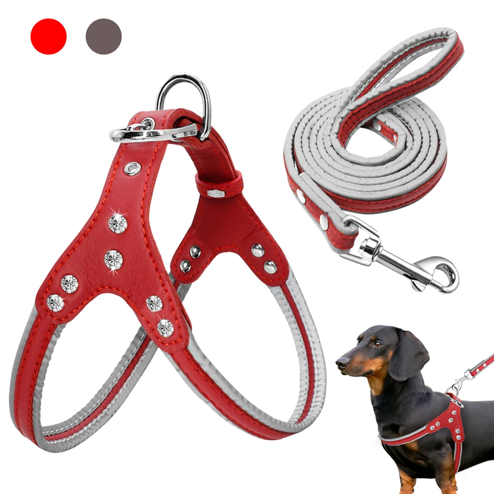 Buy Leather Dog Harness And Leash Set Reflective Small