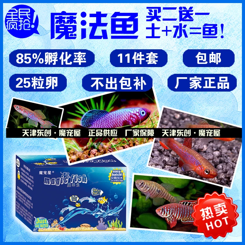 Popular Fish EggsBuy Cheap Fish Eggs lots from China Fish Eggs