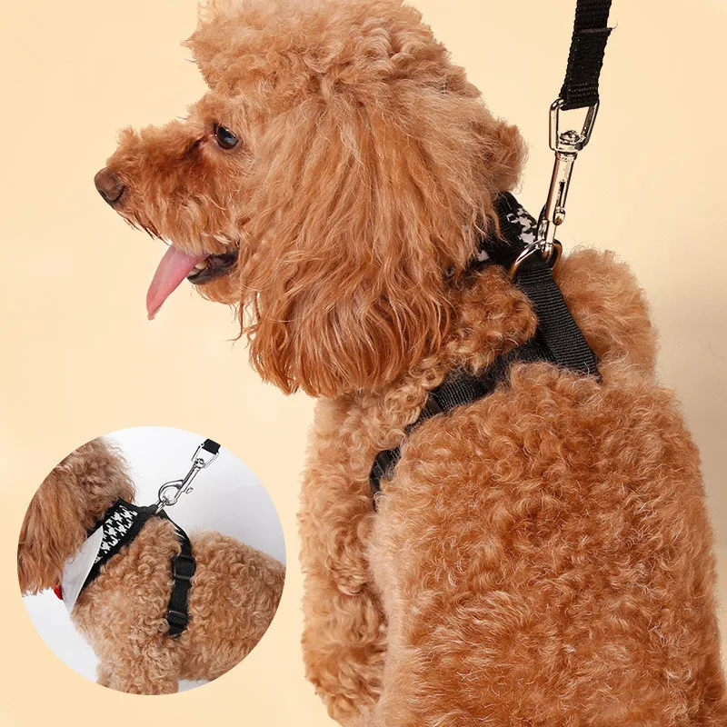 3519193665_1832331281