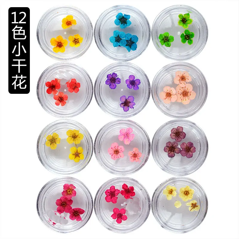 

1set /lot 12 colors nail art dry flower ,3d nail art decoration nail art design 3d natual dry flower deco nails 12 colors DIY