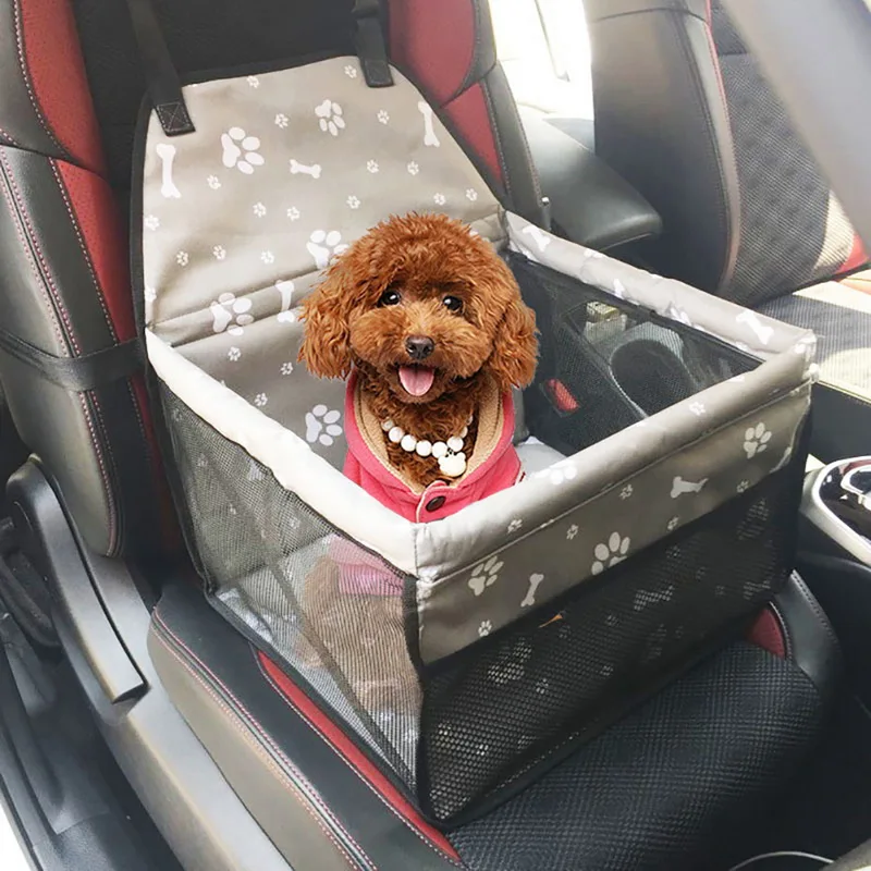 safest dog carrier for car