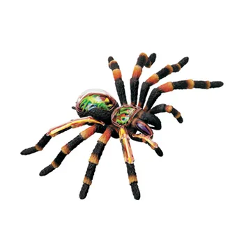 

4D MASTER Educational Assembled Toy Simulation Animal Spider Anatomy Of The Organ Medicine Teaching Model X1595