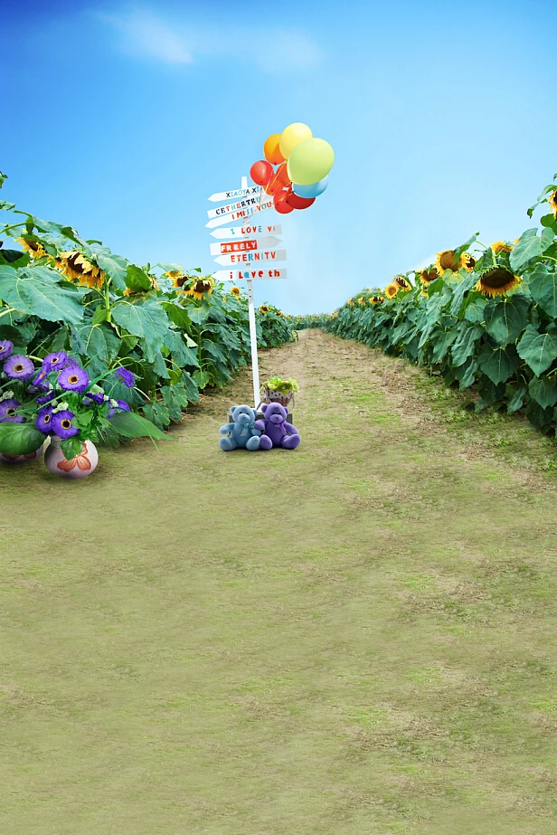 200 Cm 150 Cm 6 5ft 5ft Bunga Matahari Pertanian Jalan