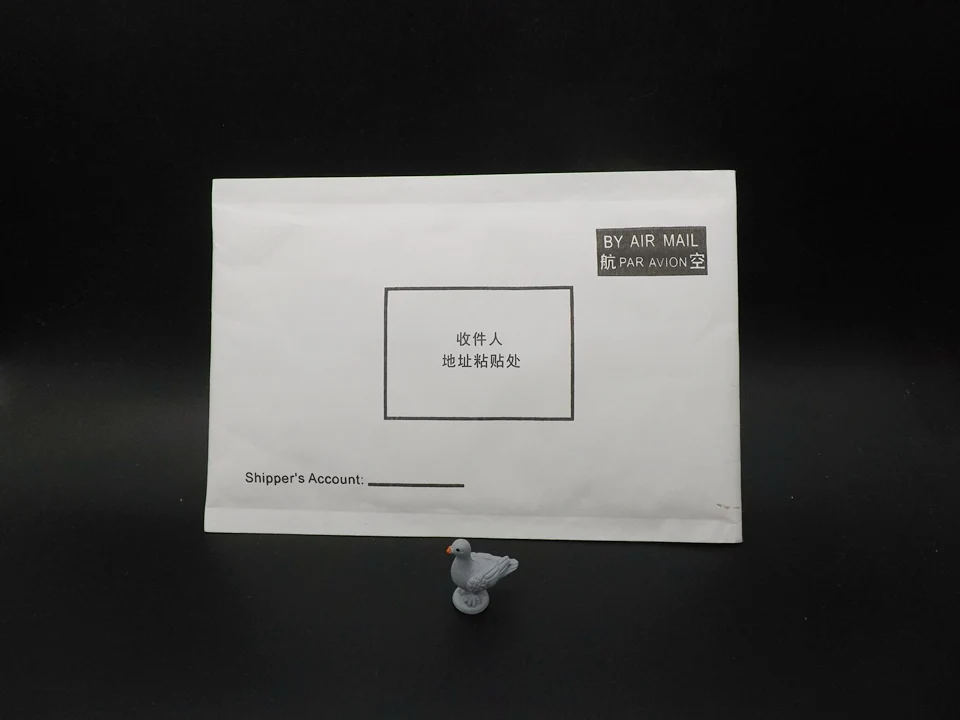 Tiny-A161-Pigeon (9)