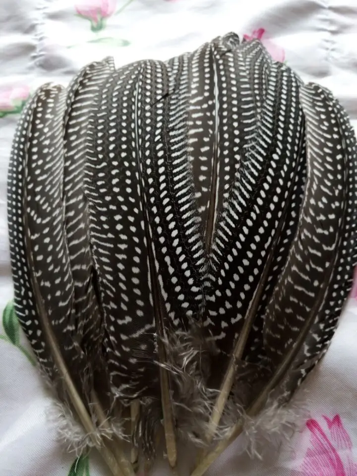 

wholesale 10pcs high quality beatiful natural guinea fowl feather 12-17cm / 5-7inch Decorative diy