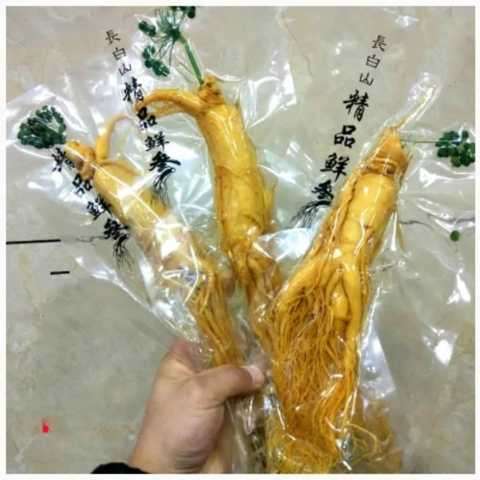 

Changbai Fresh / Dry Ginseng Root tablets 100 grams of fresh ginseng Vacuum Pack Panax ginseng Root Herbal skin care beauty use