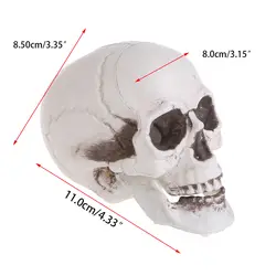 2019 новые пластиковые мини человеческие Украшенные черепами реквизит скелет головы Хэллоуин кофе бруски-орнаменты