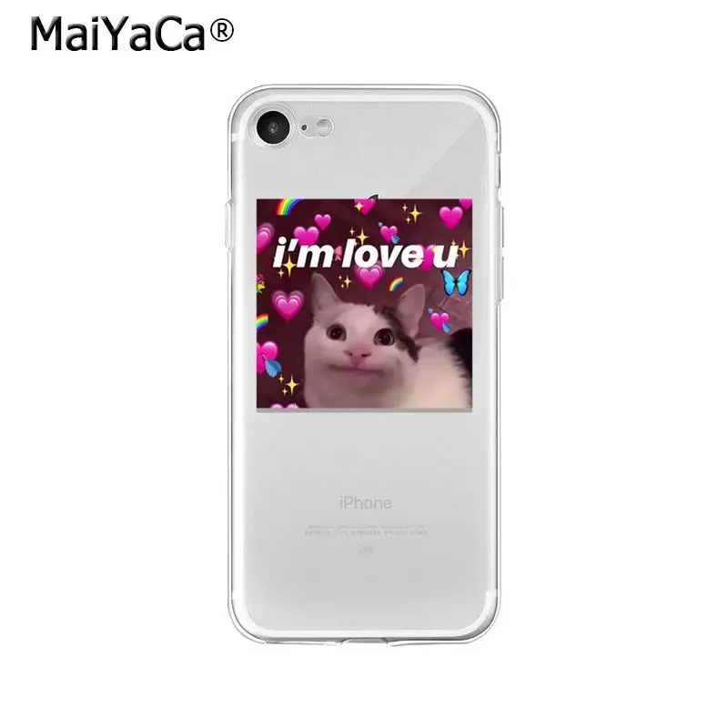 Animal Dog Cat Love You Friend Couple