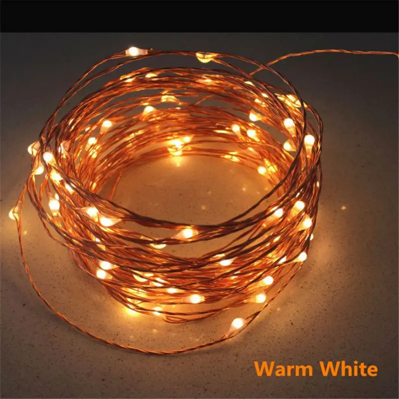10M100LED light string