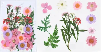 

120pcs Pressed Dried Mixed Pink Flowers And Leaves Plant Herbarium For Jewelry Bookmark Postcard Phone Case Handcraft DIY