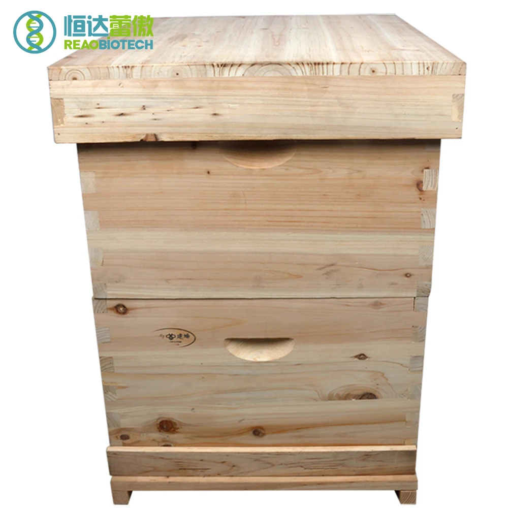 Пчеловодство Fri дерево 10 кадров улья Apicultura улей для пчеловода пчел и пчеловодства HDBH-002D