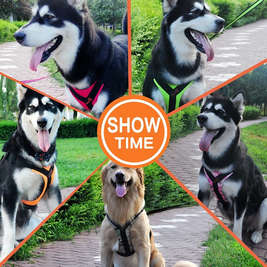 dog harness vest (5)