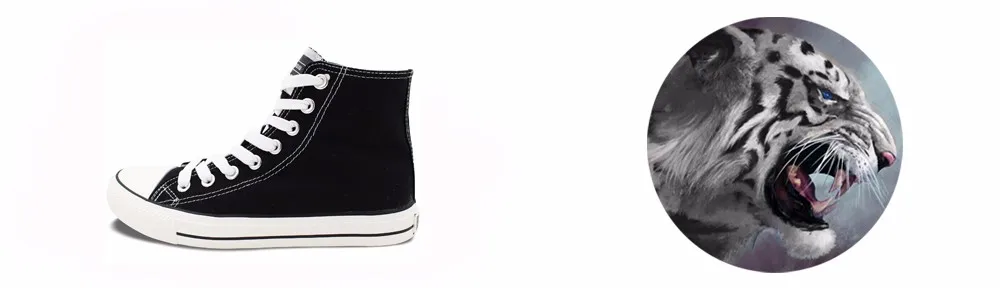 aaa