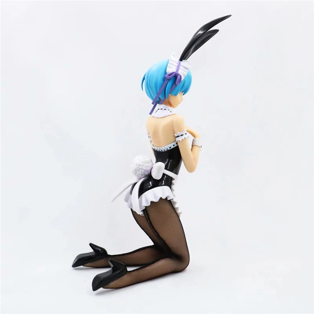 Rem (6)