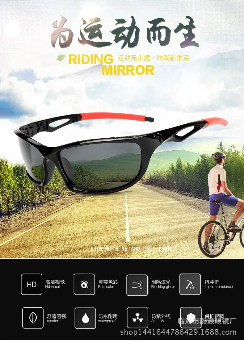 3774500638_1360999611