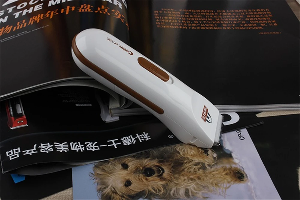 cp3100 (6)