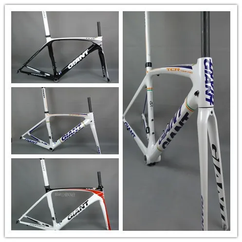 giant tcr c