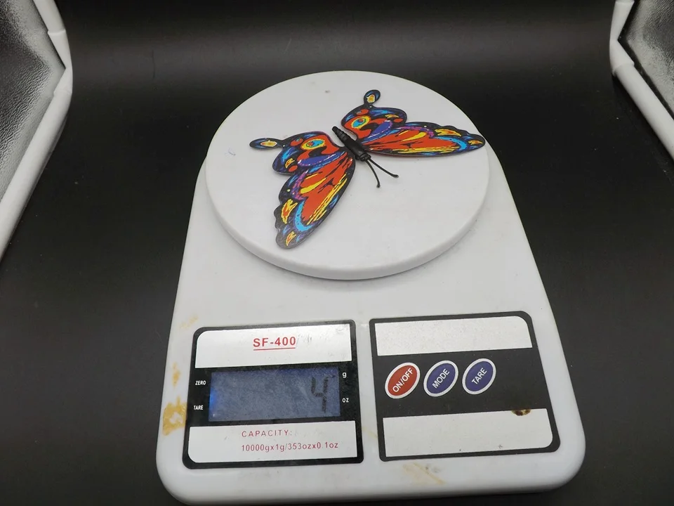 I195-Butterfly (14)