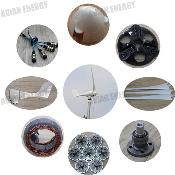 HTB1DNBGa6ihSKJjy0Feq6zJtpXa5