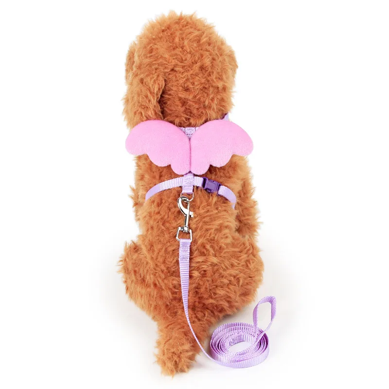 Cute Angel Pet Dog Leashes and Collars Set Puppy Leads for Small Dogs
