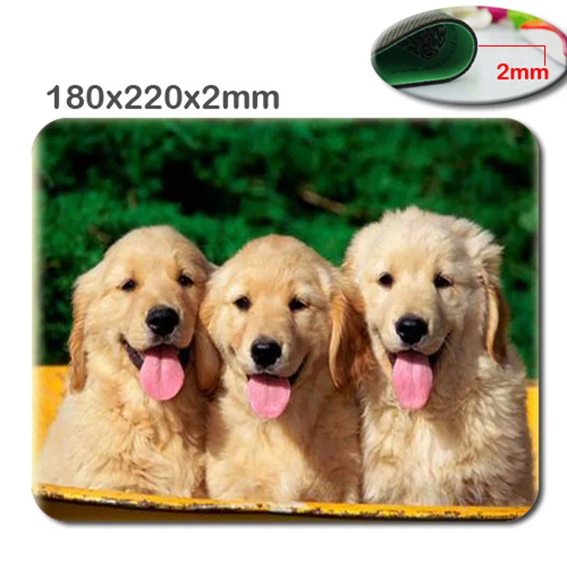 Mairuige Wholesale Animal Lovely Dog Design Fractal Custom Rectangle