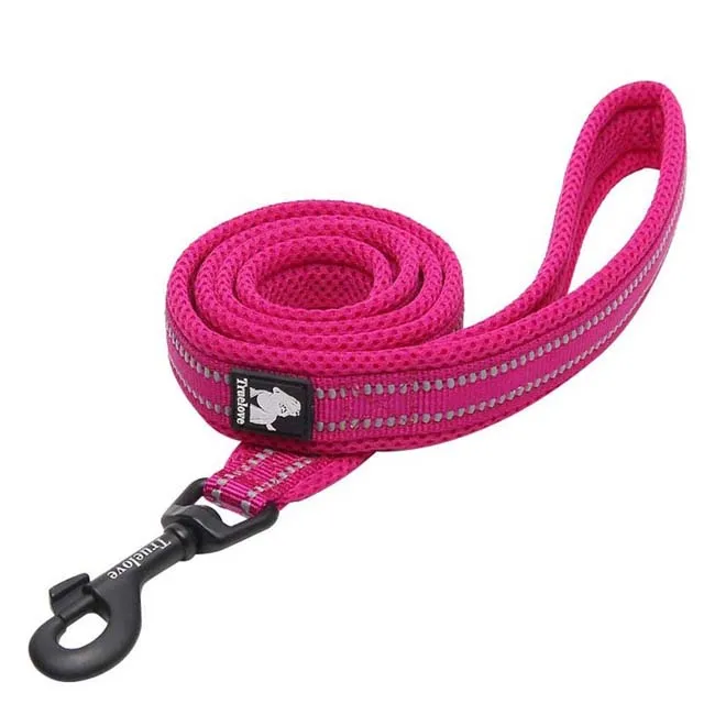 Truelove Soft mesh Nylon Dog Leash Double Trickness Running Reflective safe Walking Training Pet Dog Lead leash Stock 200cm hot - Цвет: Fuchsia