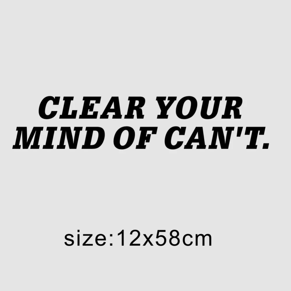 my1231-size