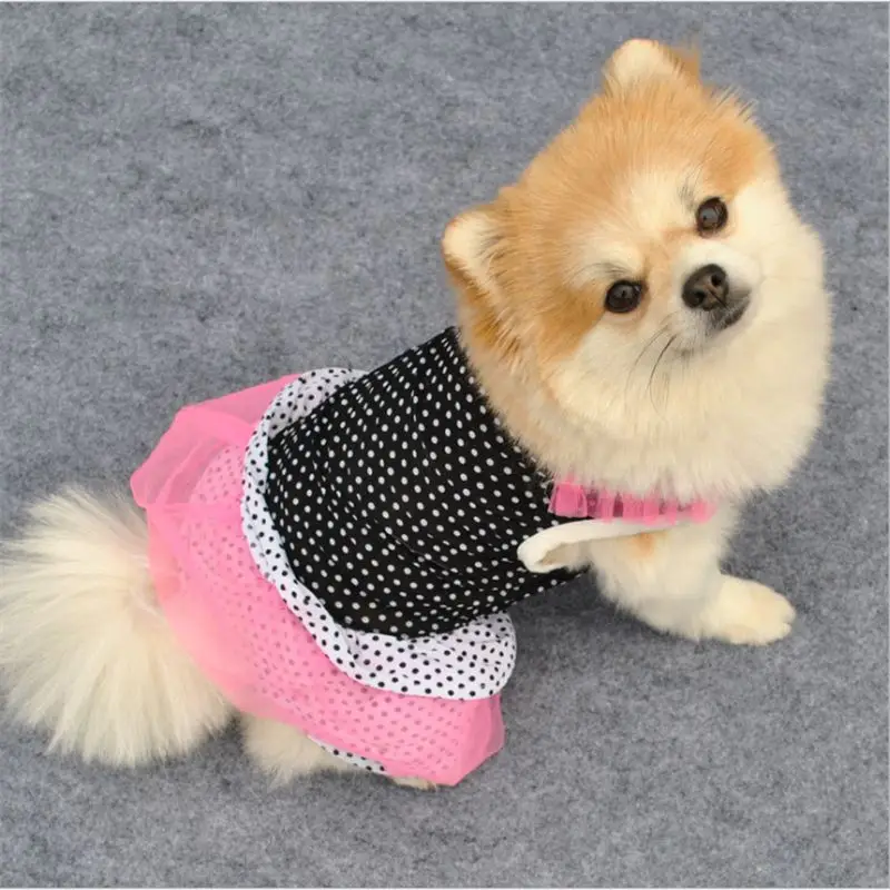 QQ20190409165009