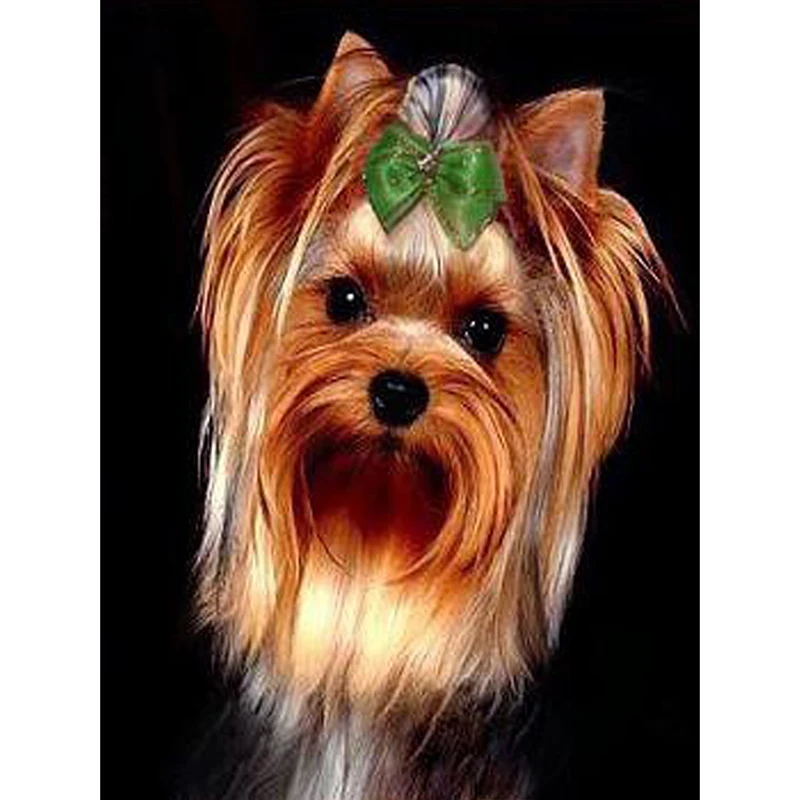 

Diy diamond painting cross stitch full diamond embroidery europe home decoration round drill animal series Lovely dog