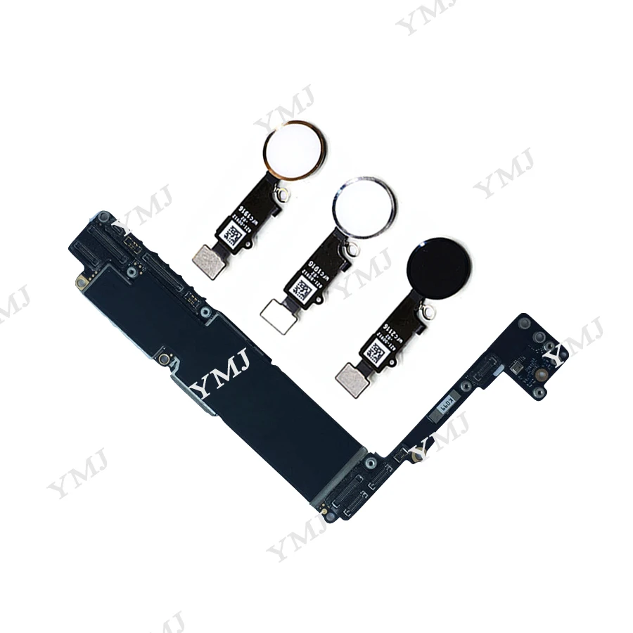 YMJ-8P带-2