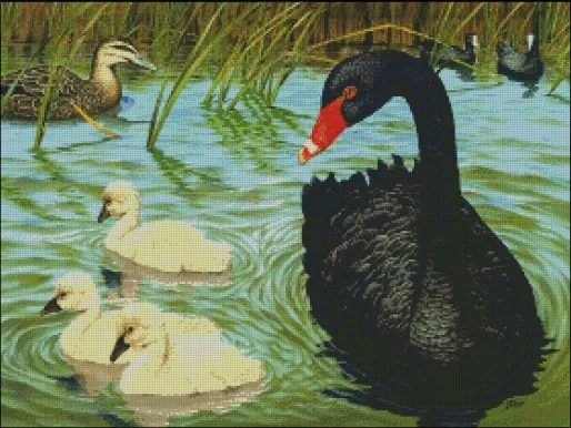 Kit De Point De Croix De Qualite Superieure Cygne Noir Dans Le Lac Cygne Et Canard Moche Livraison Gratuite Offre Speciale Aliexpress Kit De Point De Croix De Qualite Superieure Cygne Noir Dans Le Lac Cygne Et Canard Moche Livraison Gratuite Offre Speciale Aliexpress