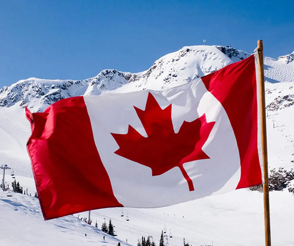 Высокое качество баннер открытый Канада клен баннер из листьев полиэстер Крытый - Цвет: 90x60cm