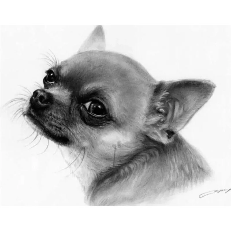 5D DIY Diamond Painting Cross Stitch black white Chihuahua dog Full Square Drill Rhinestones Mosaic Embroidery Sale TY09 | Дом и сад