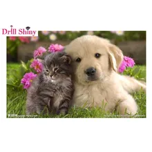 Полный квадратный алмаз 5D DIY Алмазная картина фото на заказ "собака и кошка" 3D вышивка крестиком Мозаика Декор