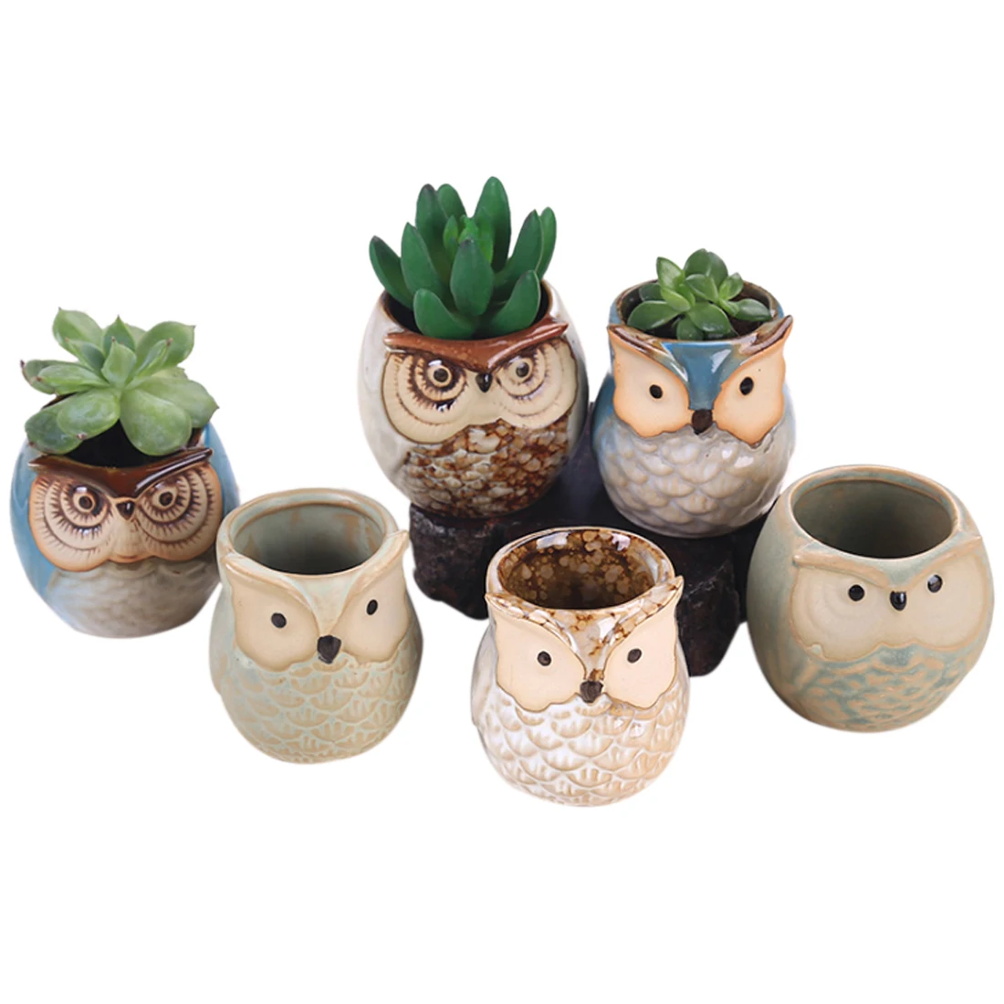 6Pcs Potted Plant Ornaments Animal Owl Pattern Mini Plant Pot Office