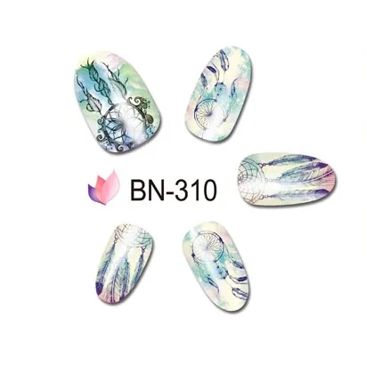 BN-310 (2)